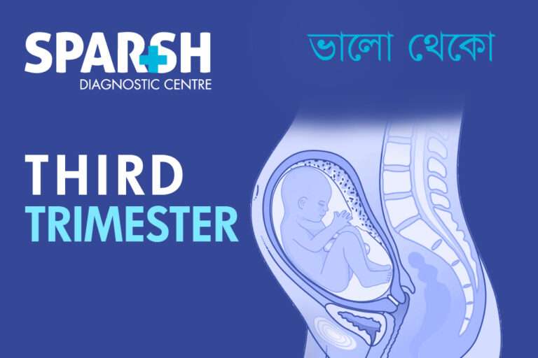 Third Trimester - Sparsh Diagnostic Center