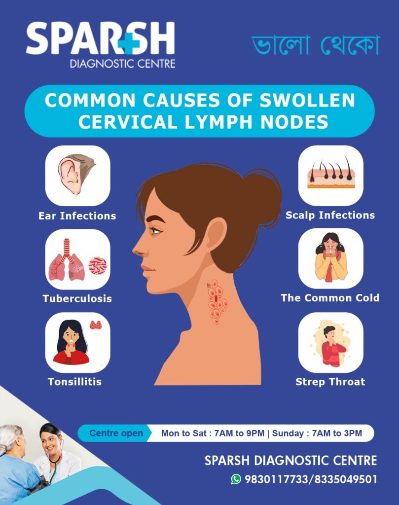 Lymph Nodes In Neck 2026 