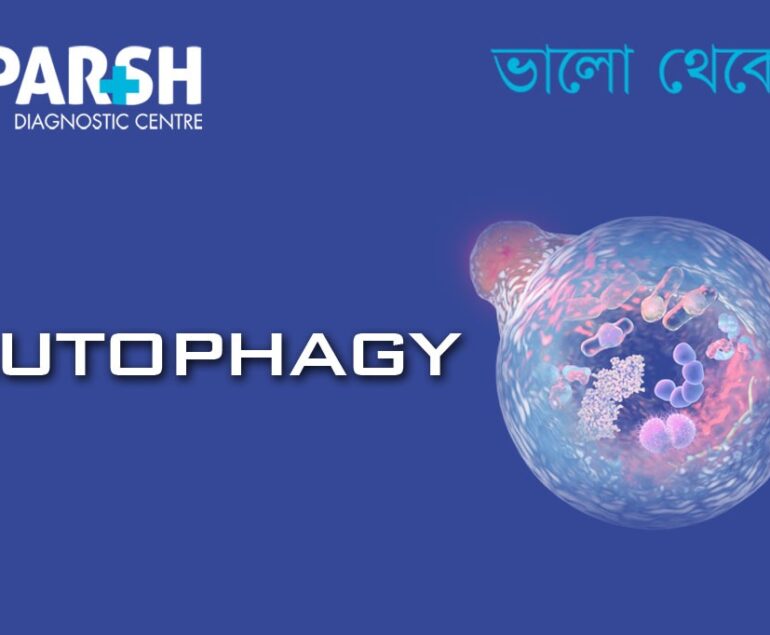 Autophagy
