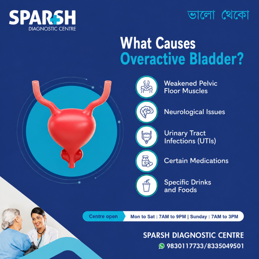 Overactive Bladder Causes