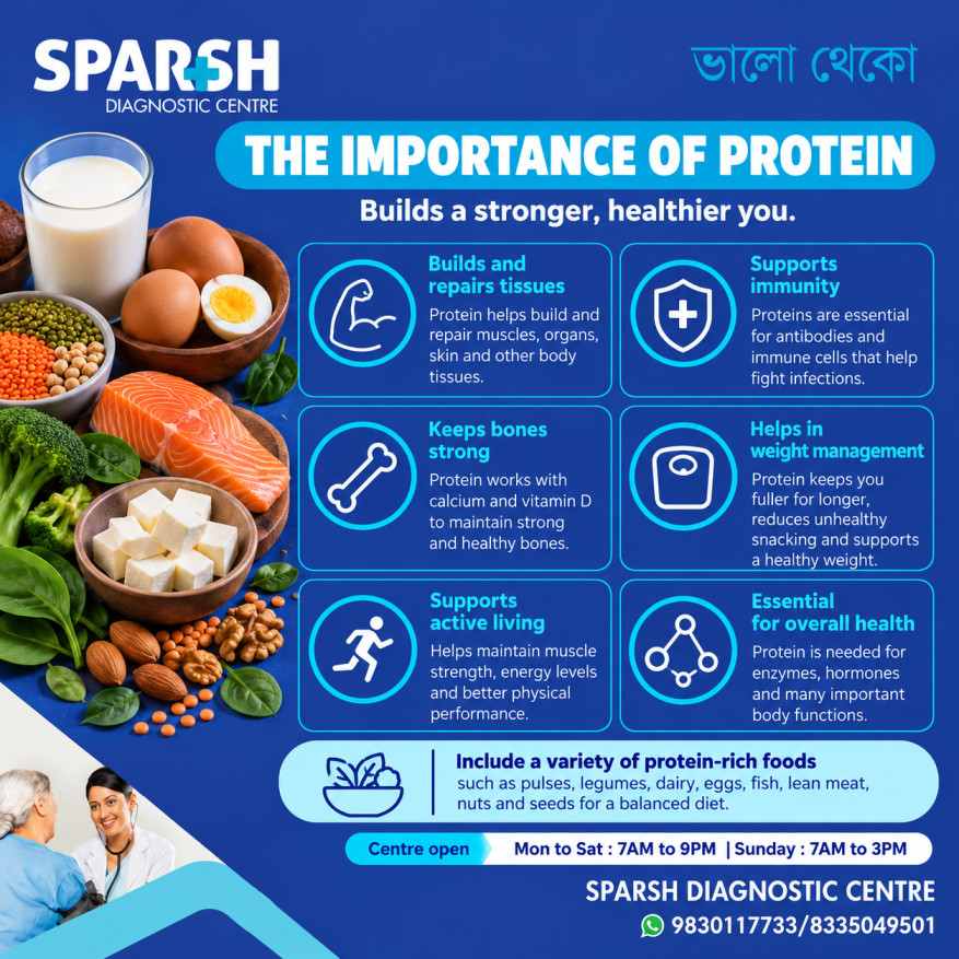 Protein