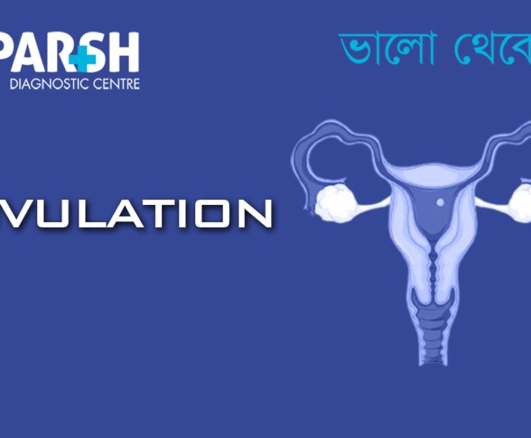 Ovulation