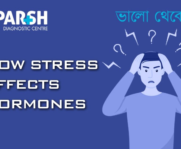 How Stress Affects Hormones