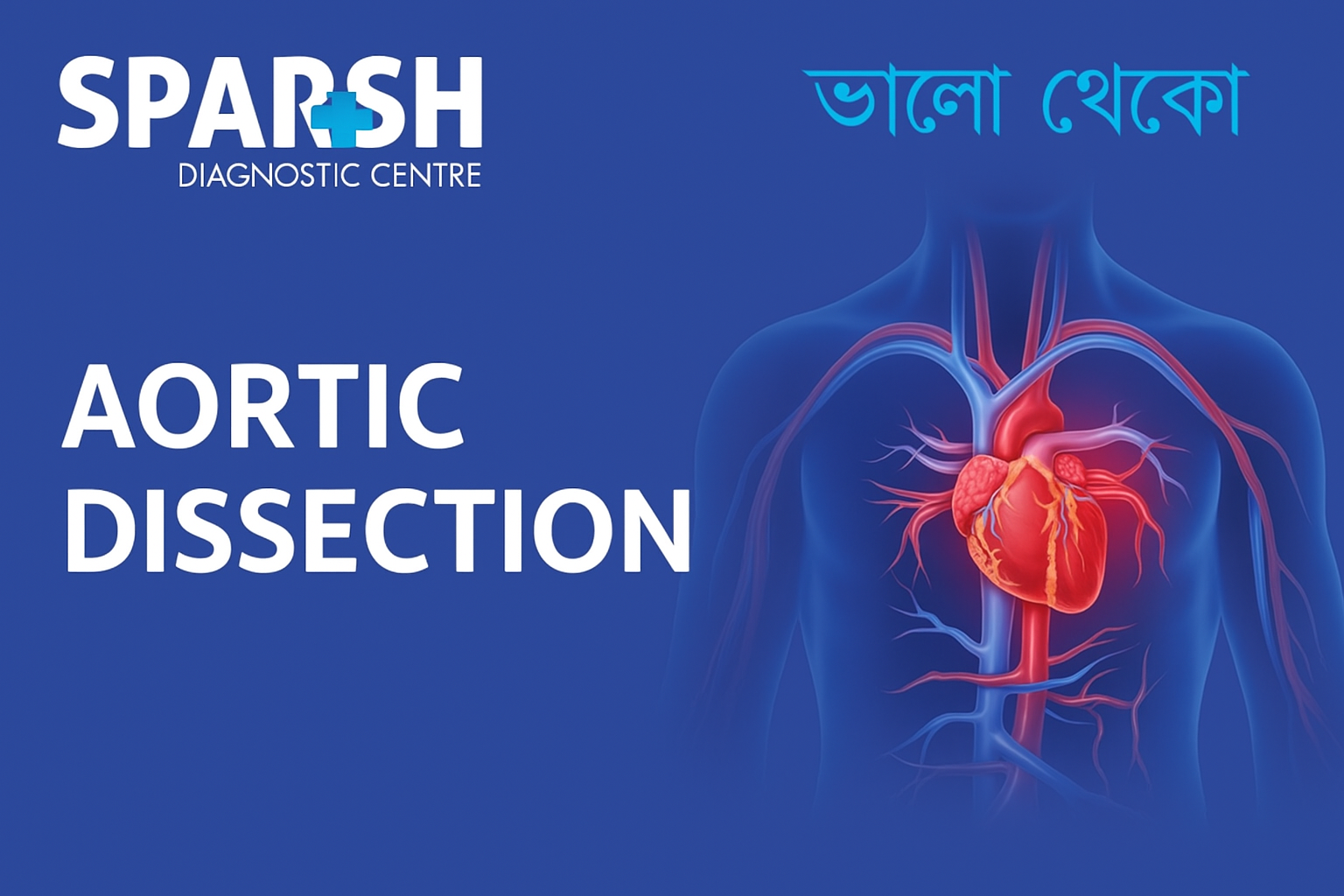 Aortic Dissection. Blood testing service.