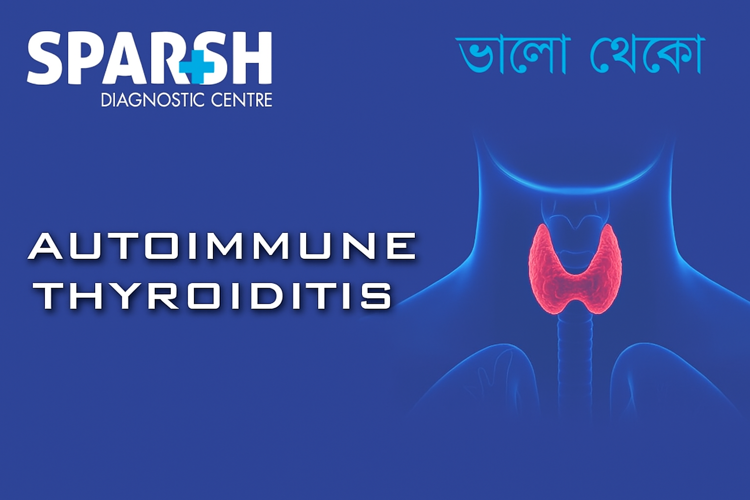 Autoimmune thyroiditis. Blood testing service.