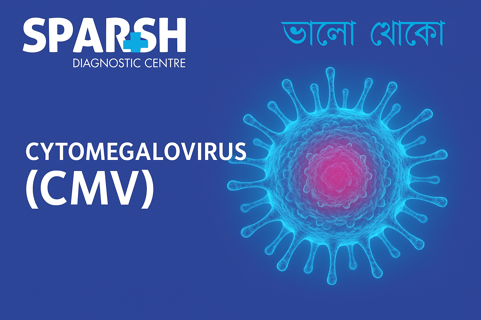 Cytomegalovirus (CMV). Blood testing service.