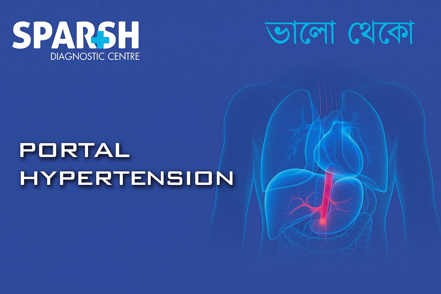 Portal Hypertension. Blood testing service.