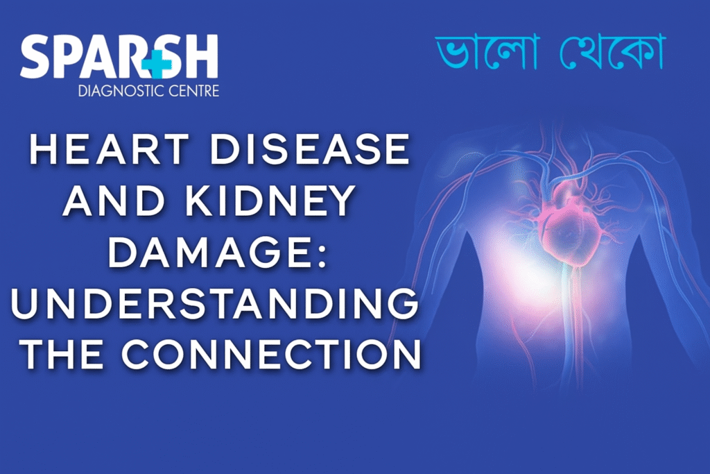 Heart Disease and Kidney Damage: Understanding the Connection - Sparsh ...