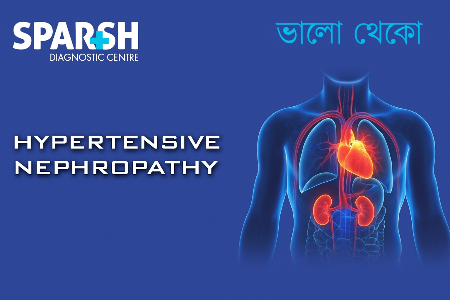 Hypertensive Nephropathy