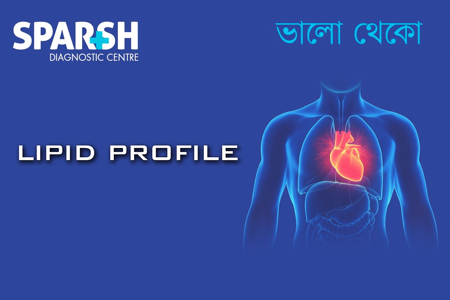 Lipid Profile