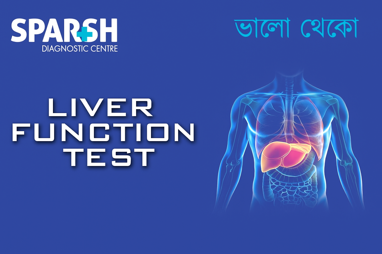 Liver Function Test