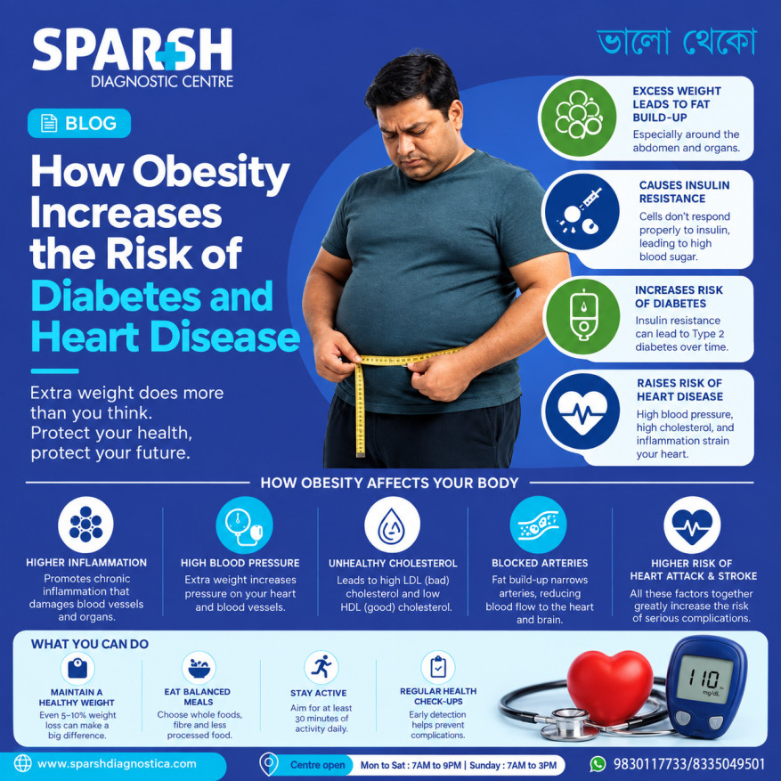 Obesity And Diabetes