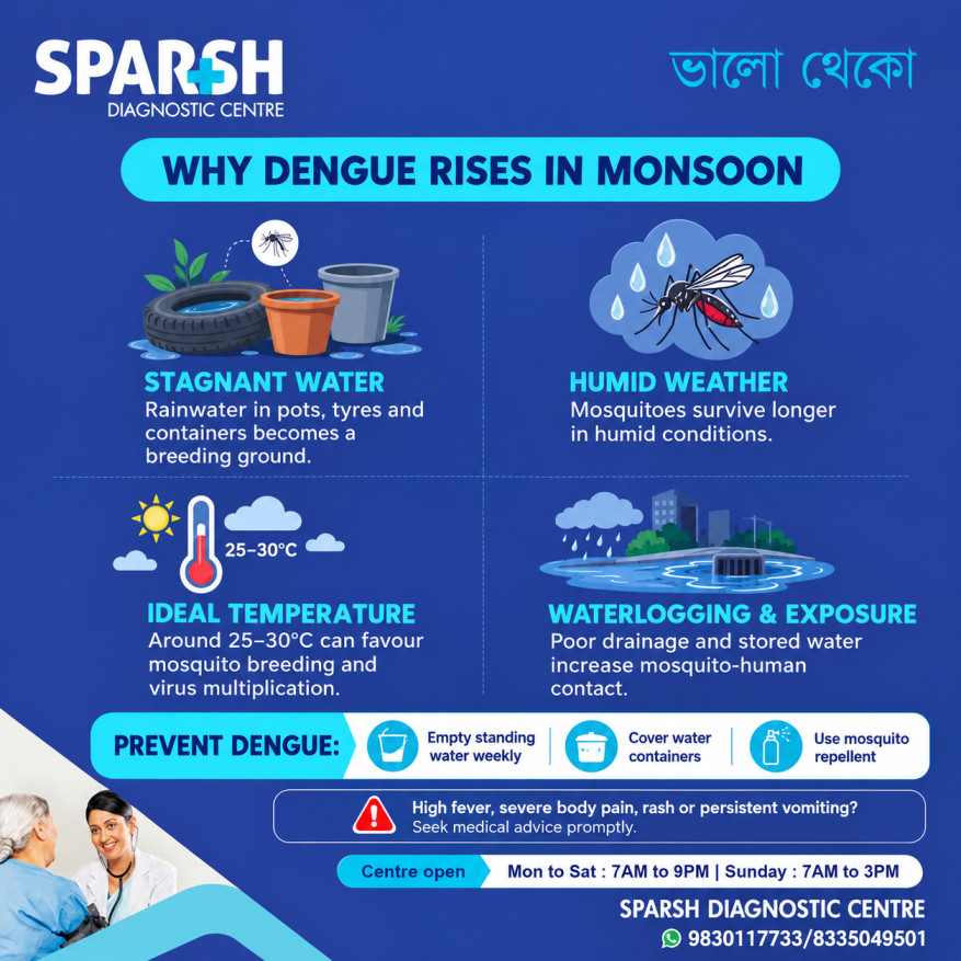 Why Dengue Cases Rise During Monsoon