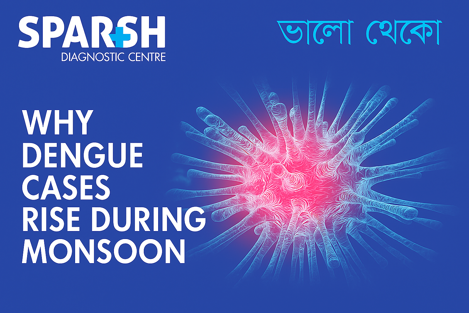 Why Dengue Cases Rise During Monsoon