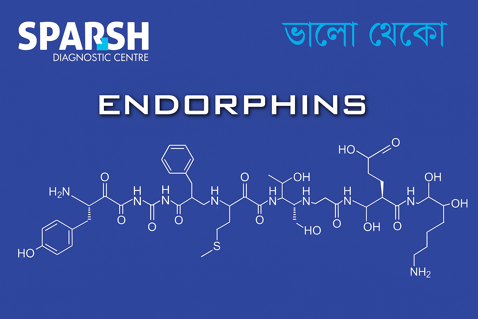 Endorphins