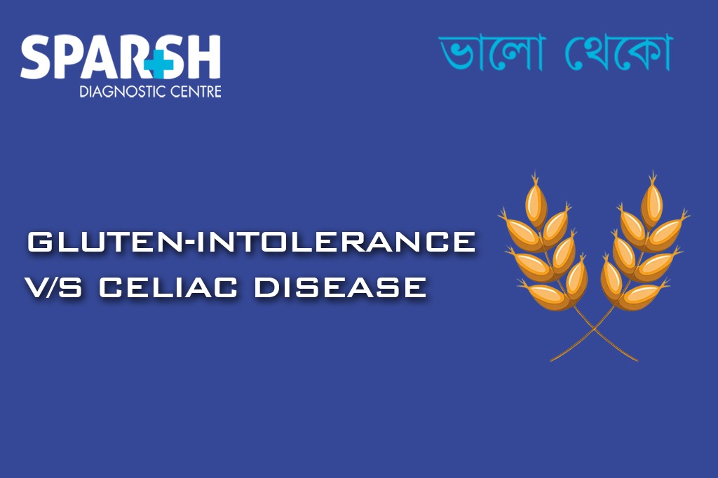 Gluten Intolerance Vx Celiac Disease
