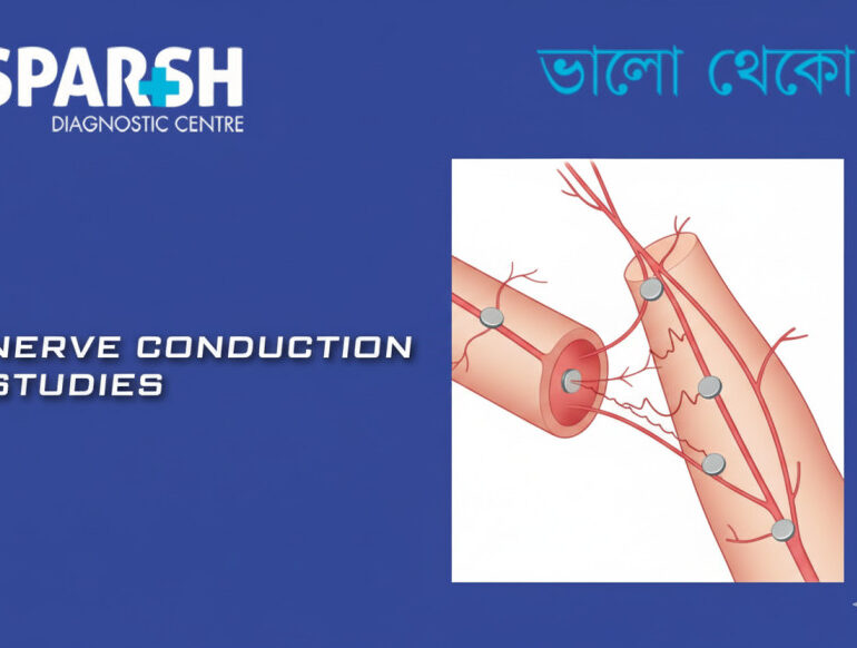 Nerve Conduction Studies, NCV