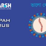Nipah Virus CP