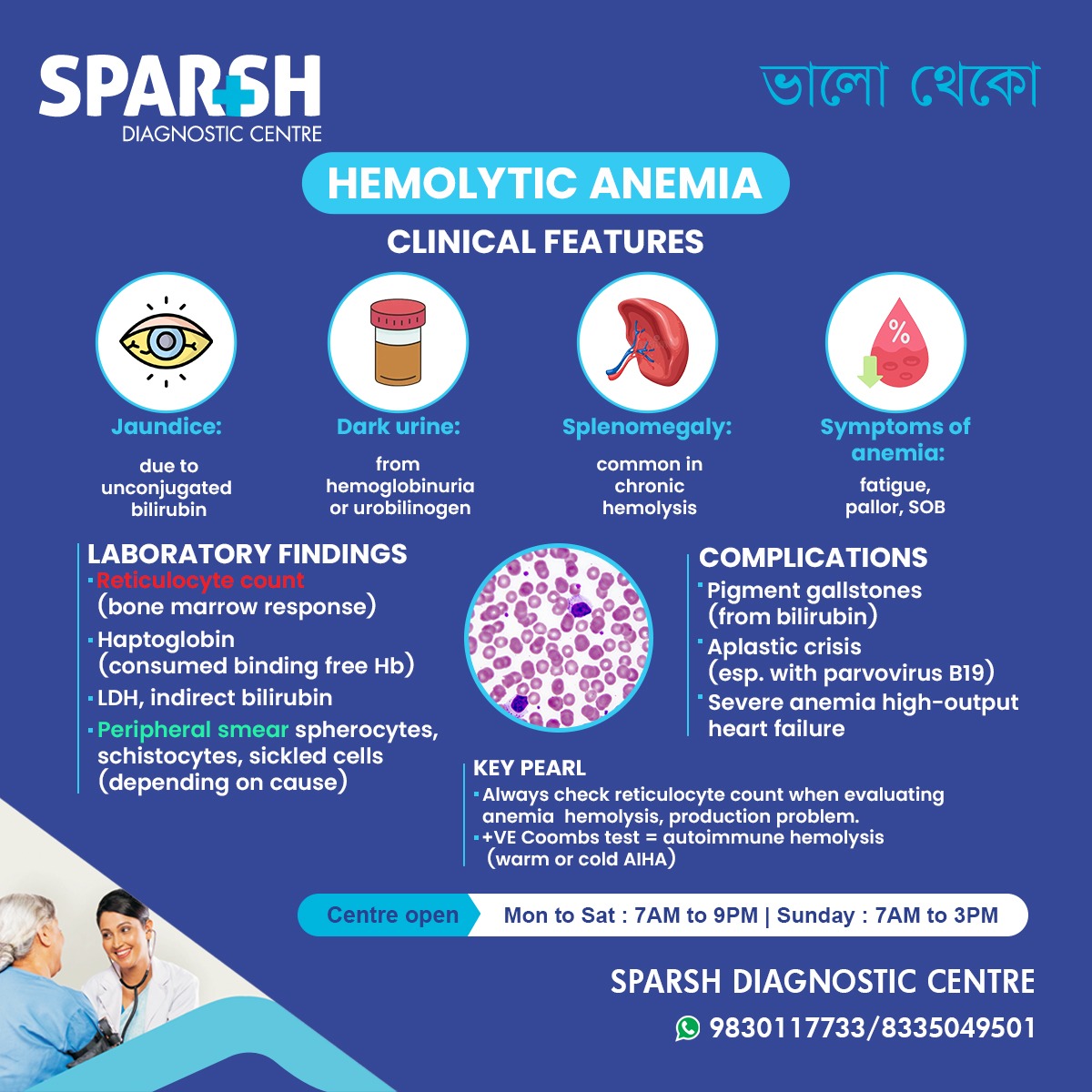 Hemolytic Anemia Features