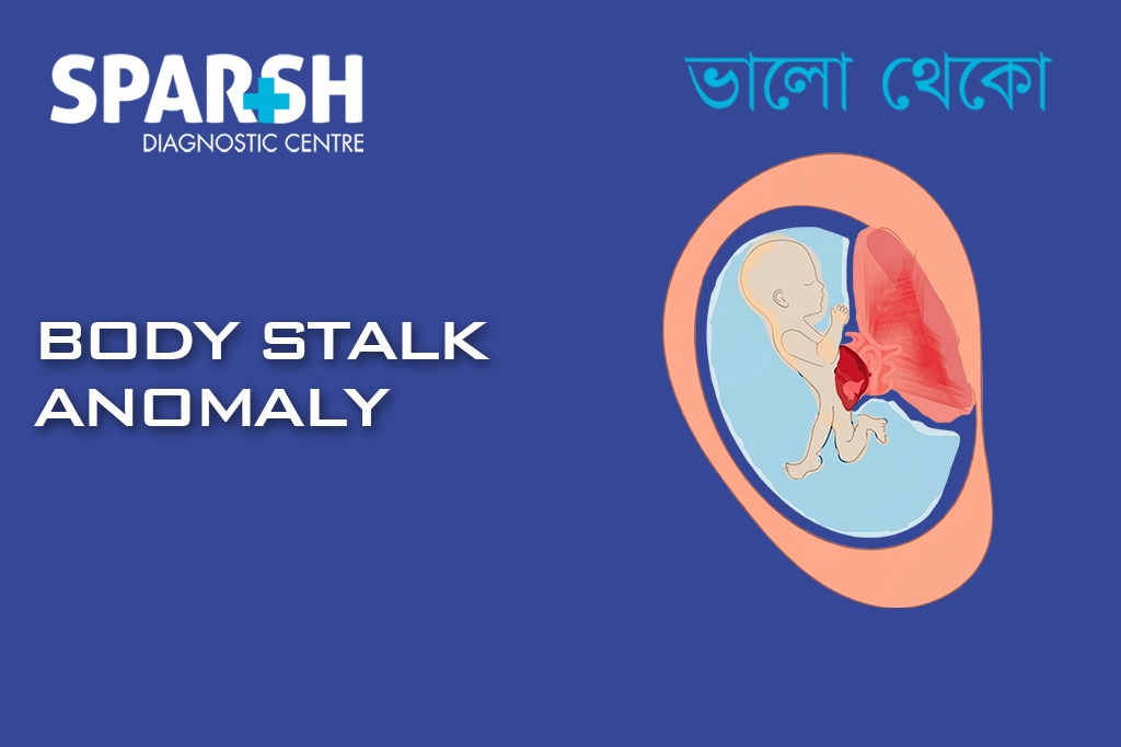 Body Stalk Anomaly