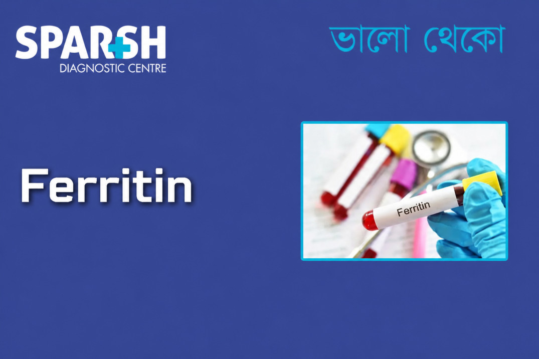 Ferritin