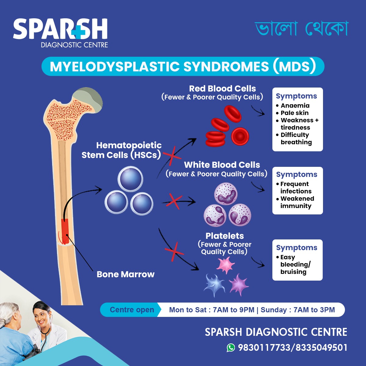 What Are Myelodysplastic Syndromes