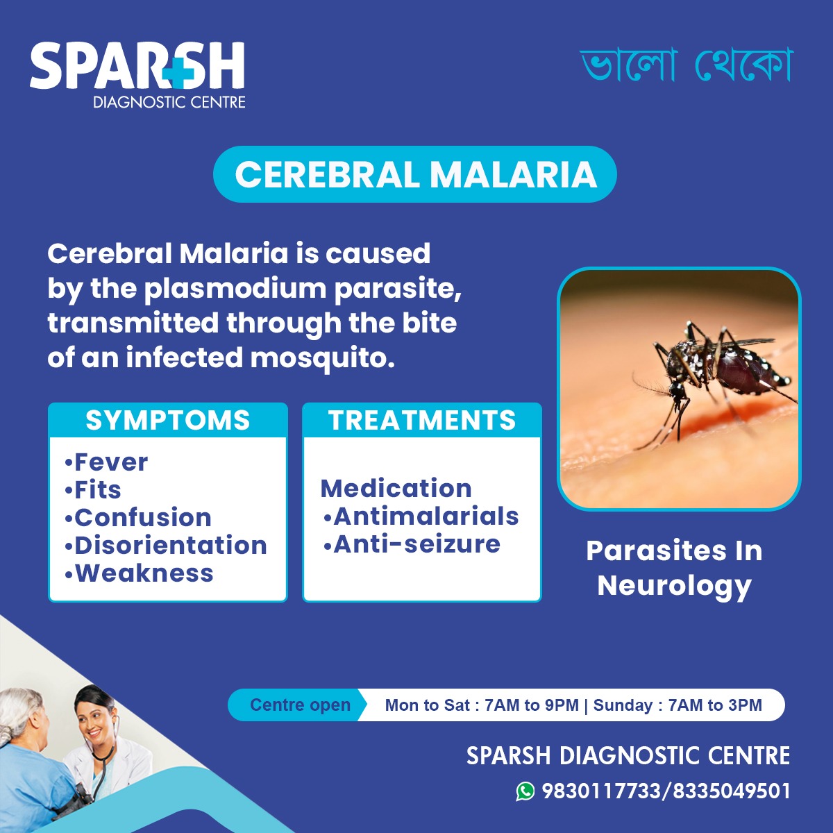 What Is Cerebral Malaria