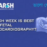 Which Week Is Best For Fetal Echocardiography