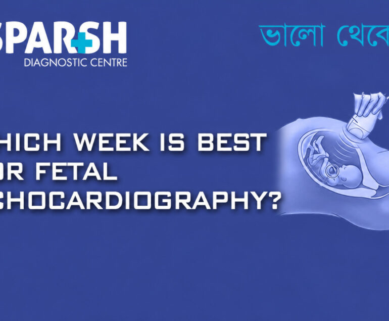 Which Week Is Best For Fetal Echocardiography