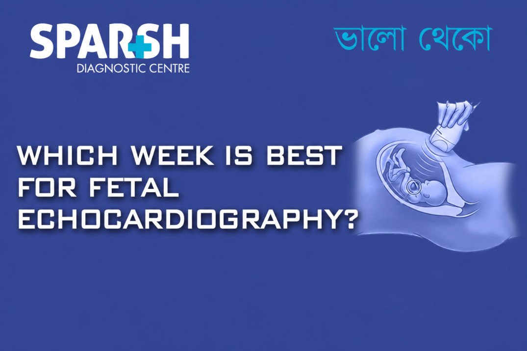 Which Week Is Best For Fetal Echocardiography