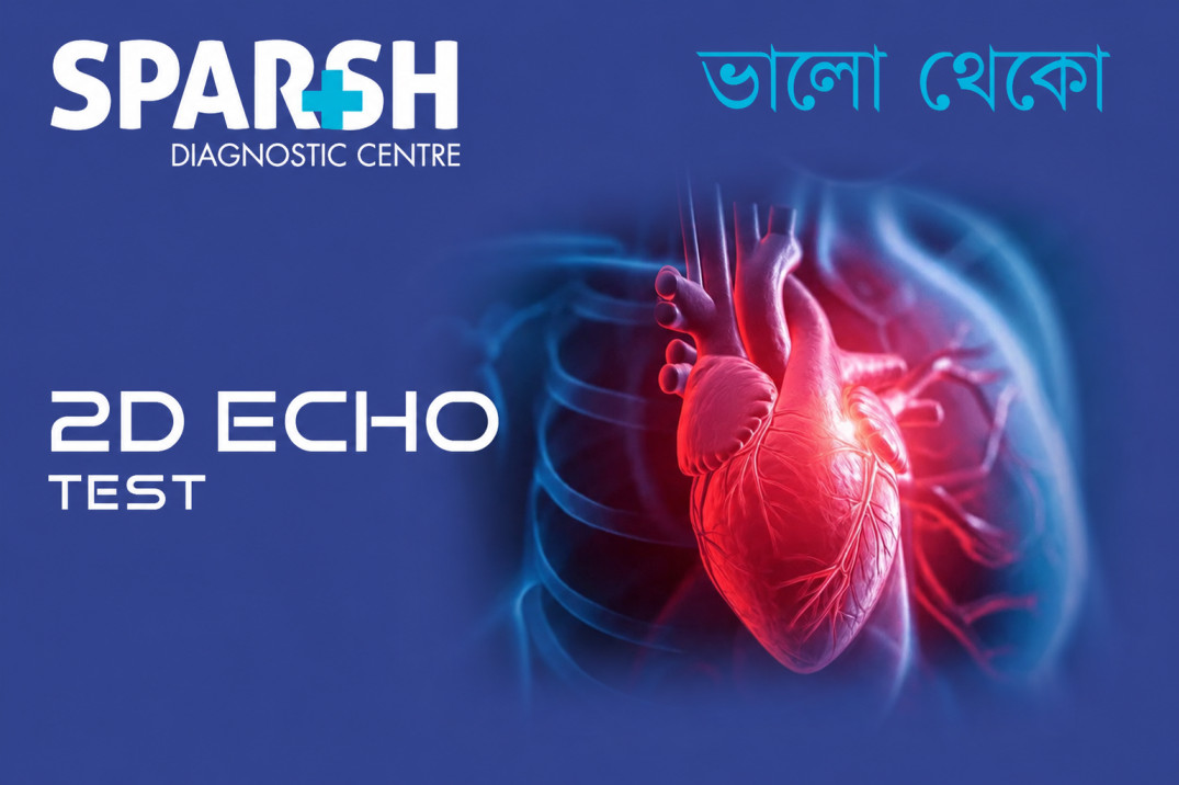 D Echo Test CP