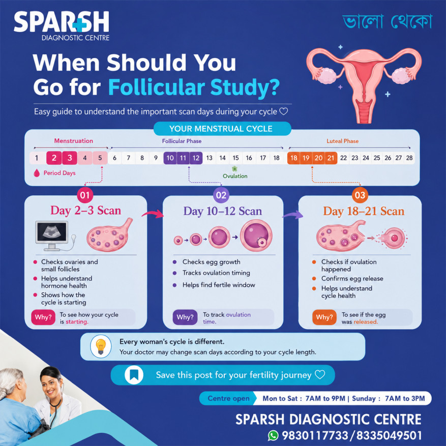 Follicular Study