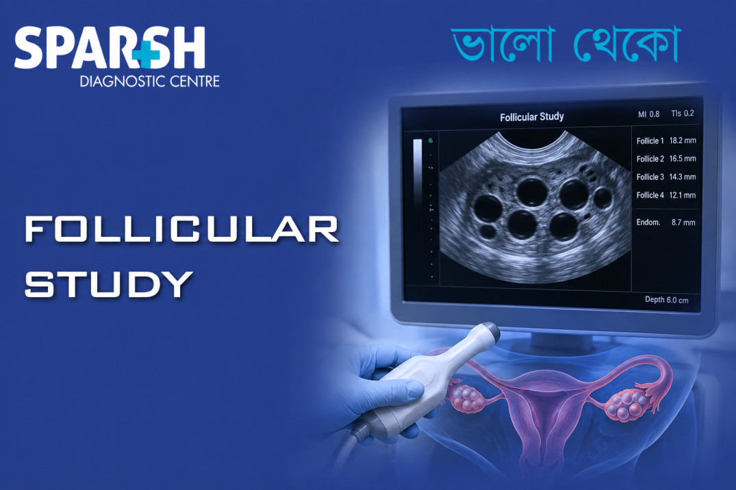 Follicular Study