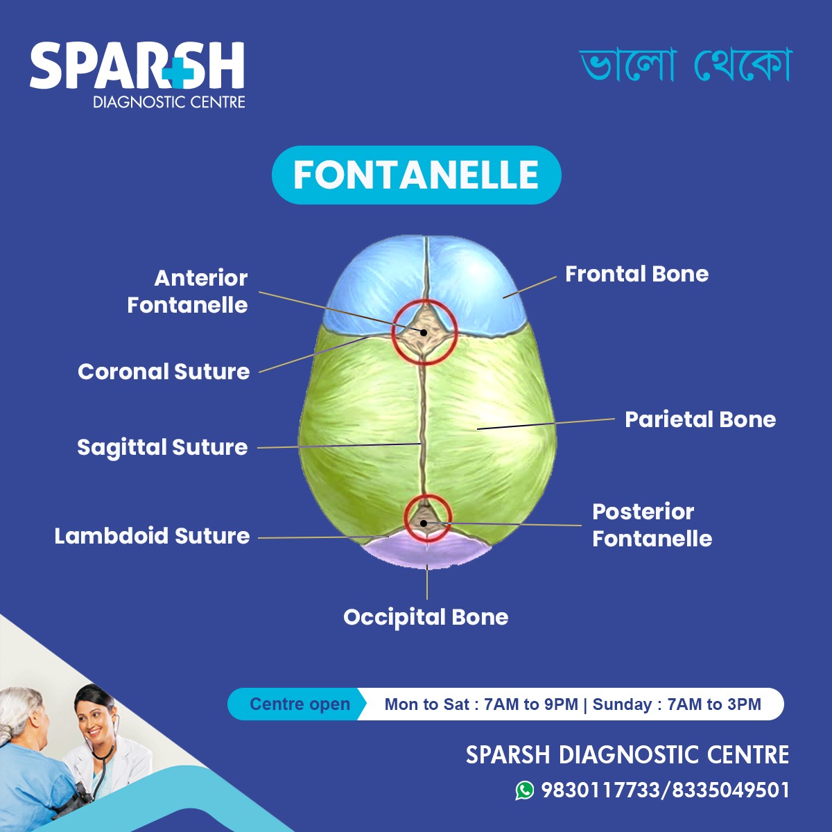 Fontanelle
