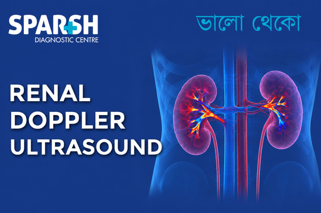 Renal Doppler Ultrasound Cover