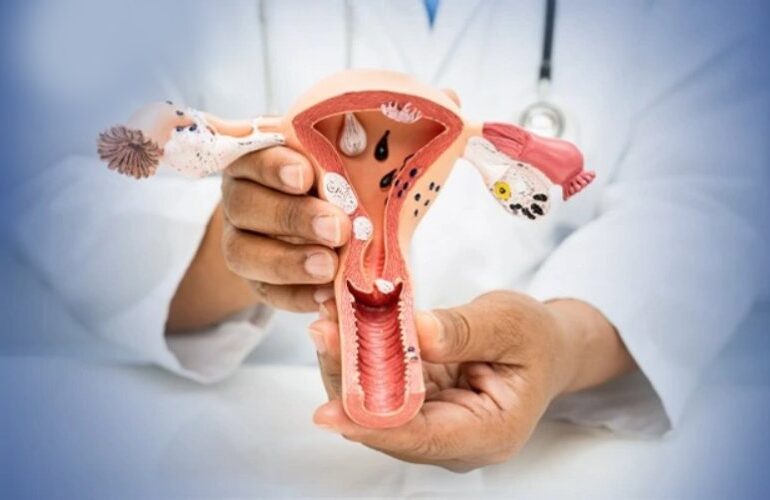 Follicular Studys