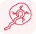 Plecenta