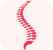 Spine Img